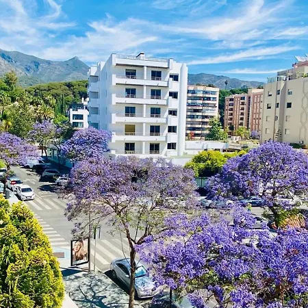 Superior 3 Bedroom Center Close To *